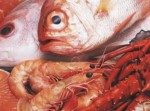 pescado