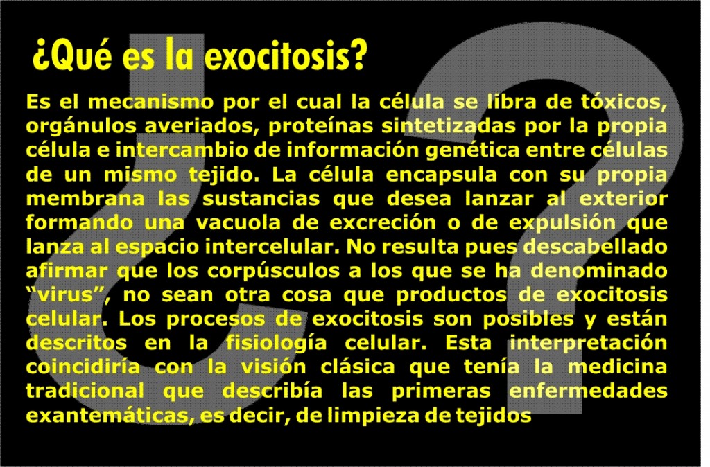 exocitosis